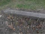 image of grave number 158256