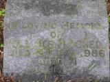 image of grave number 393131