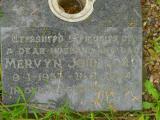 image of grave number 393300