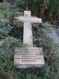image of grave number 23555
