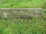 image of grave number 781544