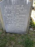 image of grave number 642772