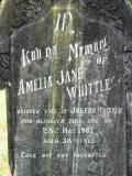 image of grave number 177276