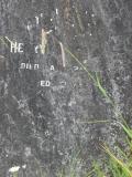 image of grave number 177343