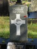 image of grave number 176661