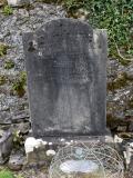 image of grave number 641183