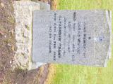 image of grave number 607595