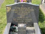 image of grave number 738619